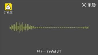 徐小平爆料新闻最新消息,揭秘娱乐圈惊人内幕