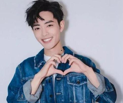 肖战关系爆料最新,揭秘明星背后的情感纠葛 第2张 肖战关系爆料最新,揭秘明星背后的情感纠葛 第2张